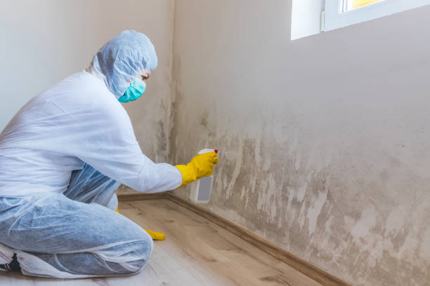 Licensed Mold Testing service in Highlands, NC - WQB Mold Removal